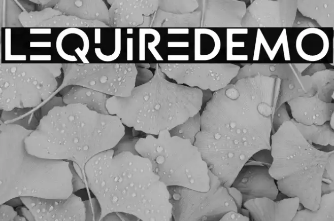 LequireDEMO Example 1