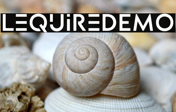 LequireDEMO Example 3