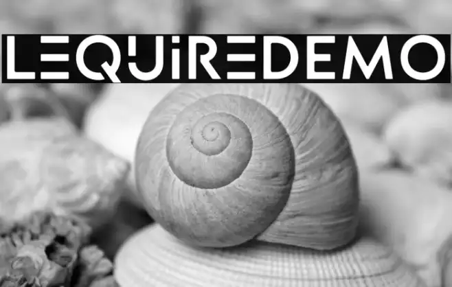 LequireDEMO Example 3