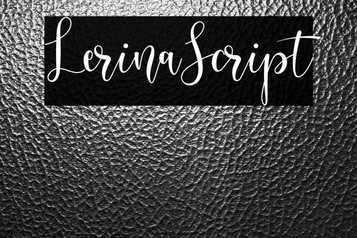 LerinaScript Example 1