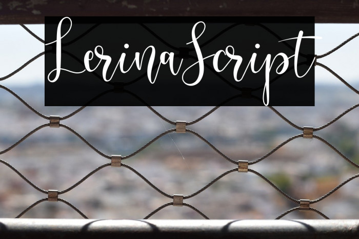 LerinaScript Example 3