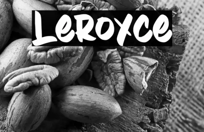 Leroyce Font examples