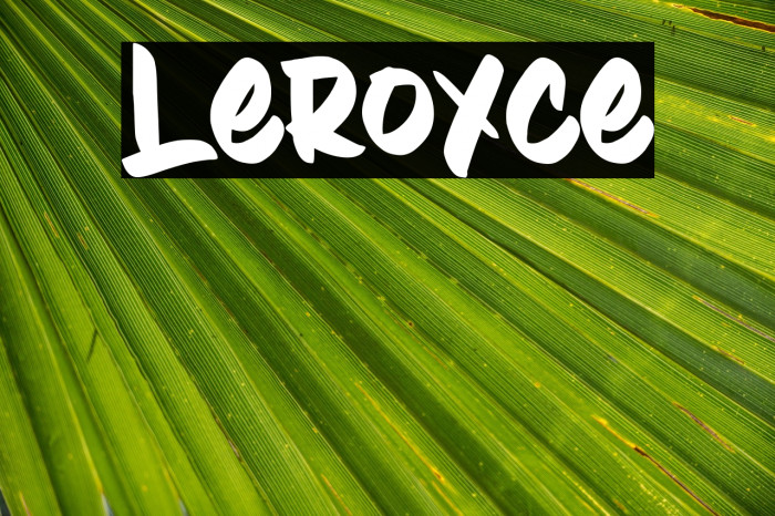 Leroyce Example 3