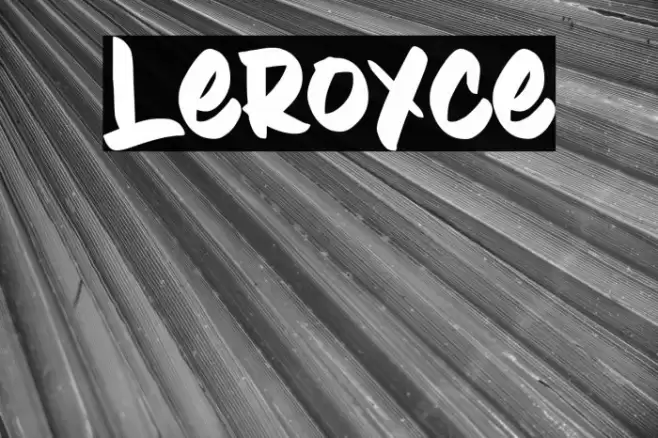 Leroyce Font examples