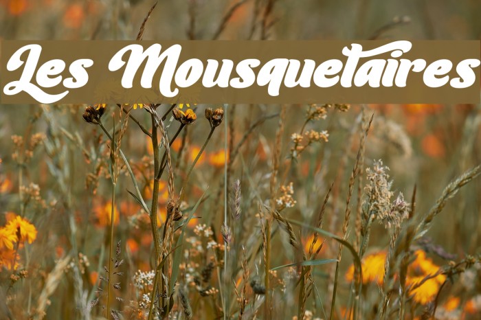 Les Mousquetaires Font examples