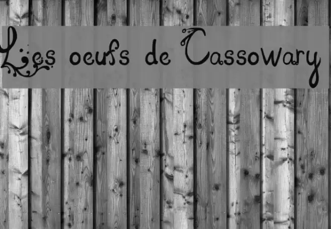Les oeufs de Cassowary Font examples