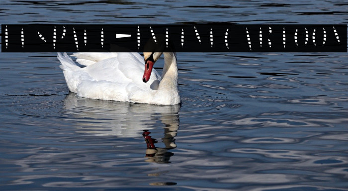 LesPaul-InlineCartoon Example 2