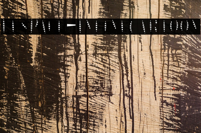 LesPaul-InlineCartoon Example 3