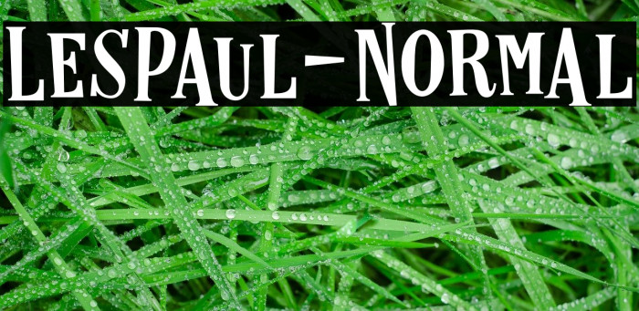 LesPaul-Normal Example 1