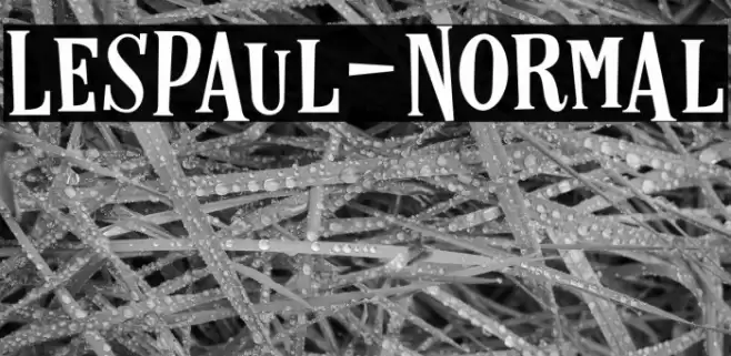 LesPaul-Normal Font examples