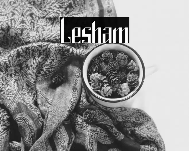 Lesham Font examples