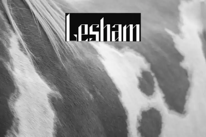 Lesham Font examples