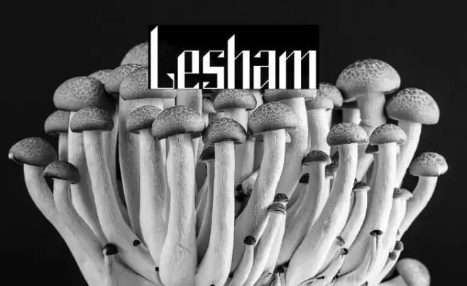 Lesham Font examples