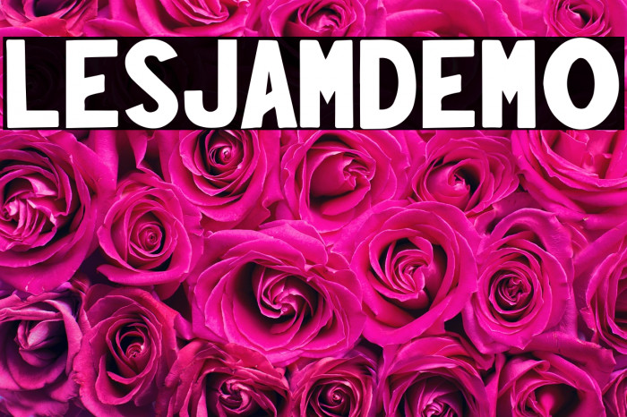 LesjamDemo Example 2