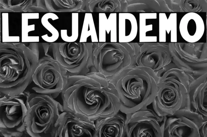 LesjamDemo Example 2