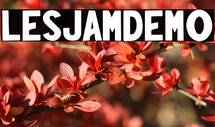 LesjamDemo Example 3