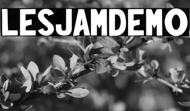 LesjamDemo Example 3