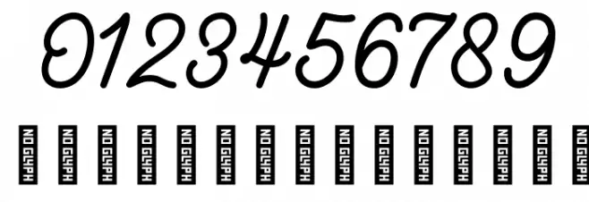 LesleyDemo Font OTHER CHARS