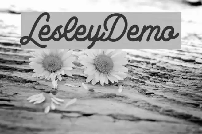 LesleyDemo Font examples