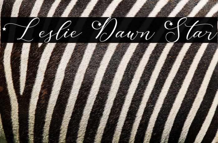 Leslie Dawn Star Example 2