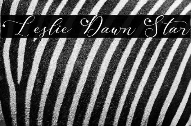 Leslie Dawn Star Font examples