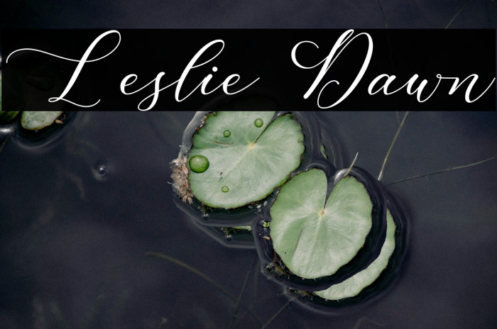 Leslie Dawn Example 1
