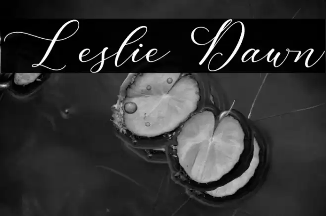 Leslie Dawn Font examples