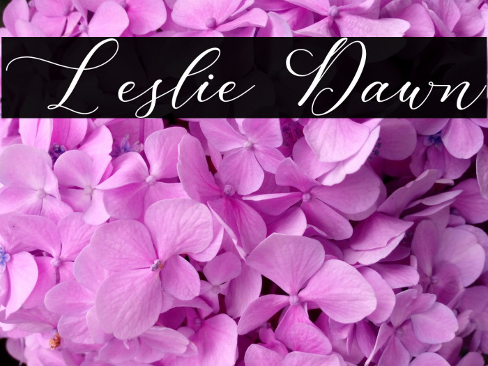 Leslie Dawn Example 3