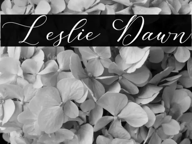 Leslie Dawn Font examples