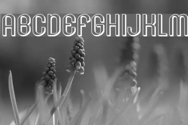 Lesser Concern Shadow Schriftart examples
