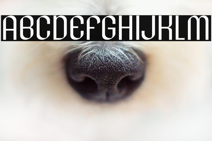 LesserConcern-Regular Example 1