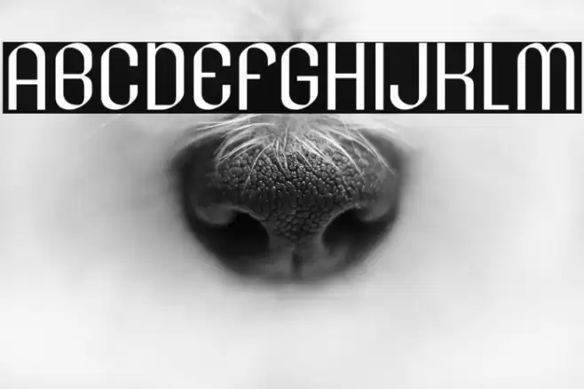 LesserConcern-Regular Font examples