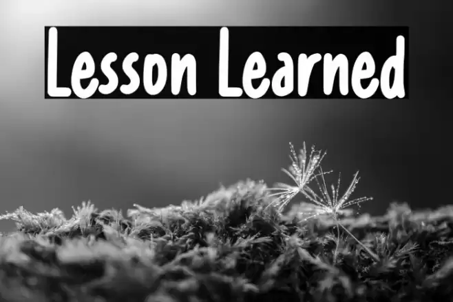 Lesson Learned フォント examples