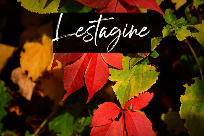 Lestagine Example 2