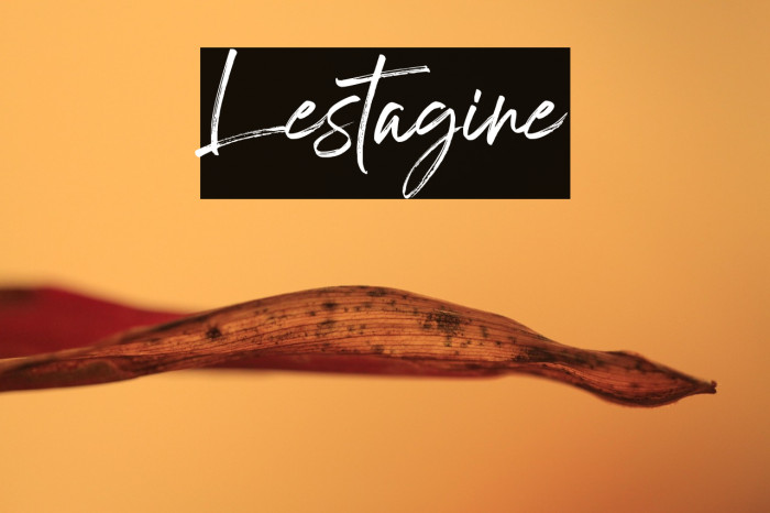 Lestagine Example 3
