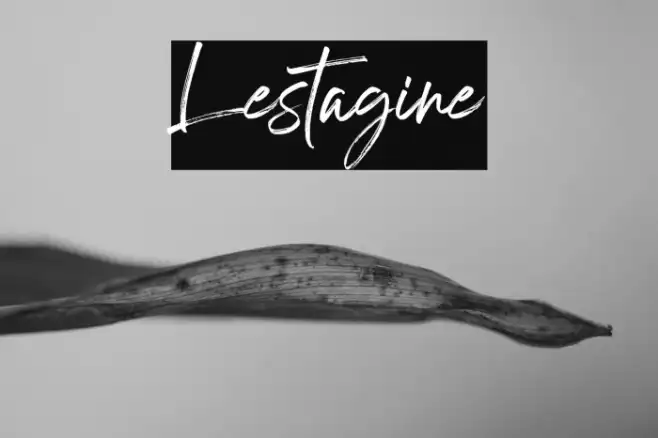 Lestagine Example 3