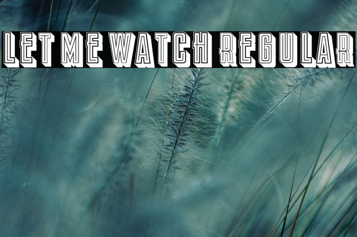 Let Me Watch Regular Example 2