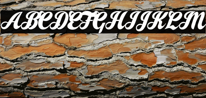 Let it Be Personal Use  Example 3