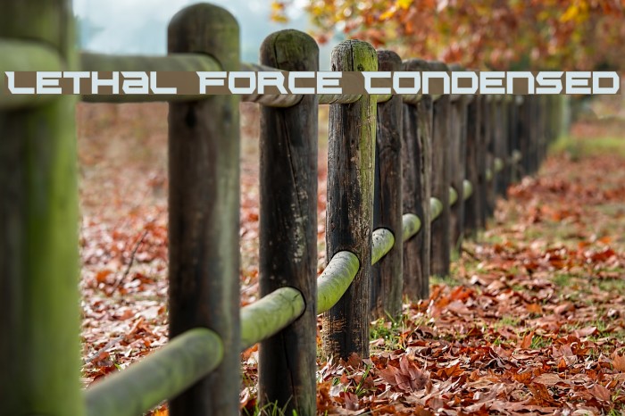 Lethal Force Condensed Font examples