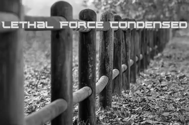 Lethal Force Condensed Example 3