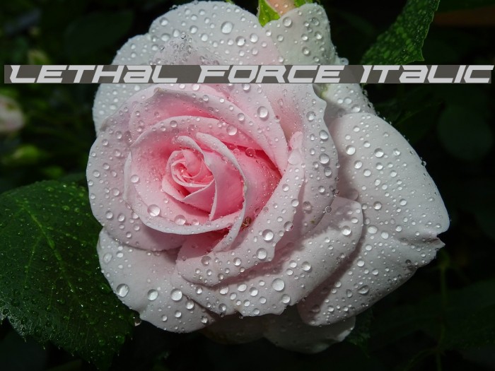 Lethal Force Italic Font examples