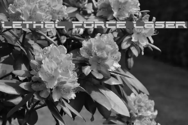Lethal Force Laser Font examples