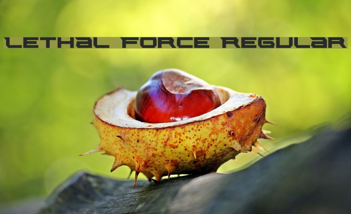 Lethal Force Regular Example 1