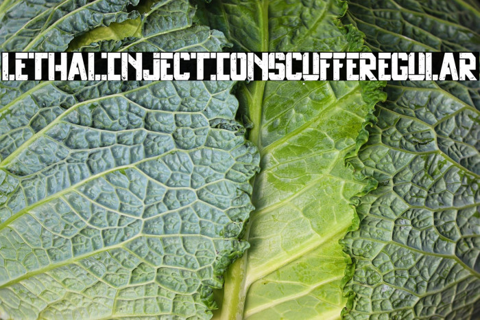 Lethal Injection Scuffe Regular Example 2