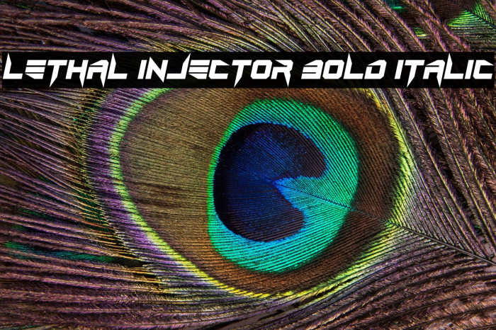 Lethal Injector Bold Italic Example 3