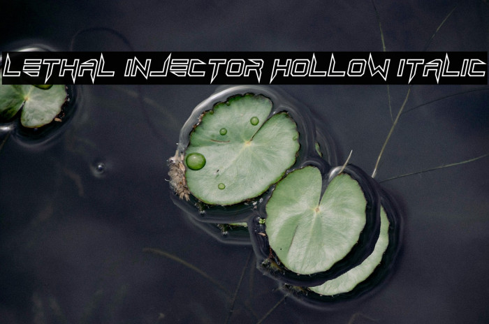 Lethal Injector Hollow Italic Example 2