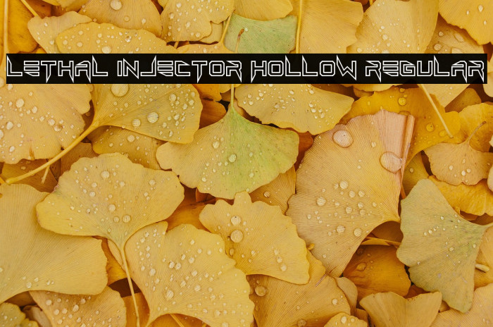 Lethal Injector Hollow Regular Example 3