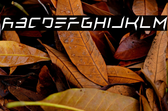 Lethal Injector Regular Italic Example 1