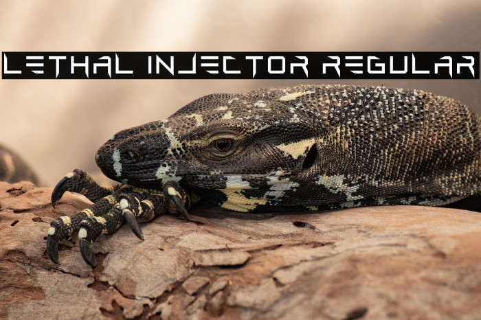 Lethal Injector Regular Example 1