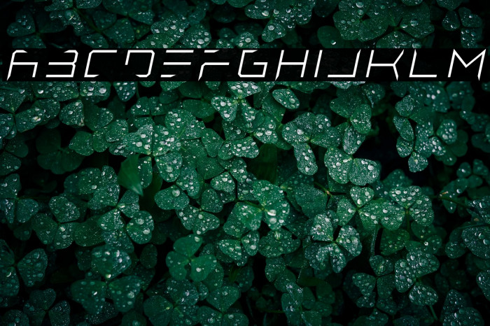 Lethal Injector Thin Italic Example 1